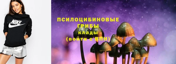 МДПВ Волоколамск