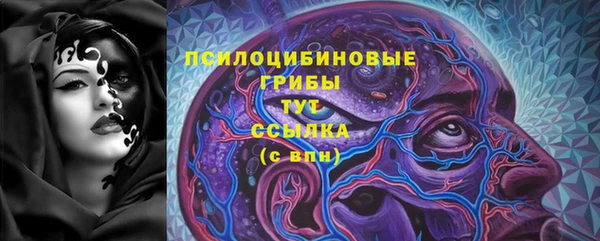 гашик Бородино